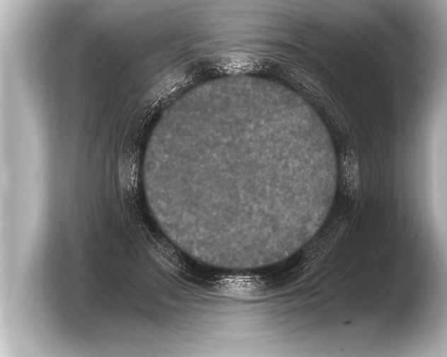 X0000103960499200810031207
