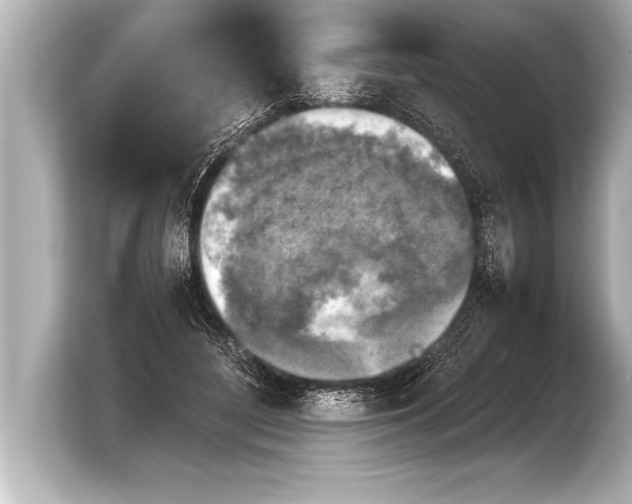 X0000103960500200810031207
