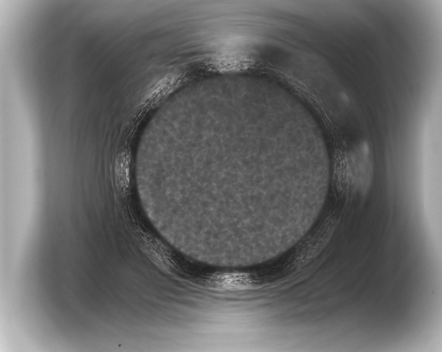 X0000103960501200810031207
