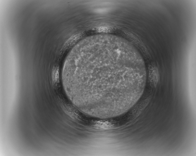 X0000103960502200810031207
