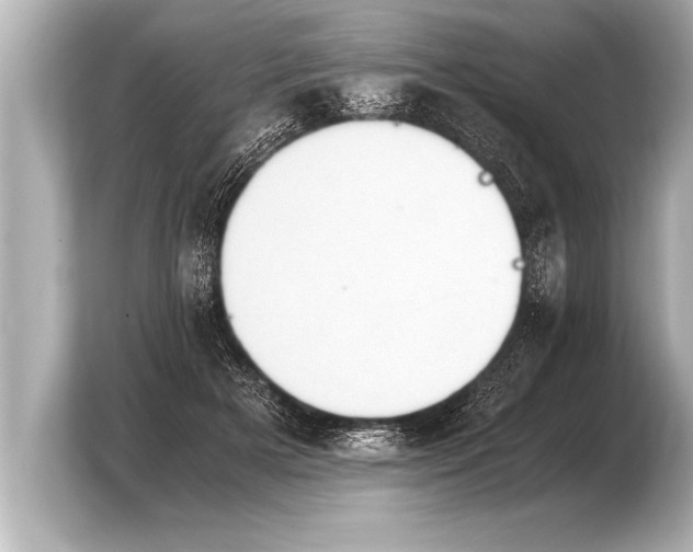 X0000103960505200810031207