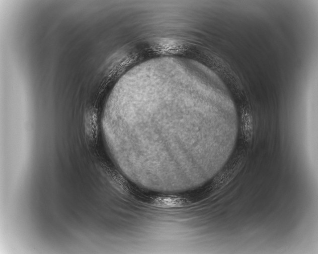 X0000103960506200810031207