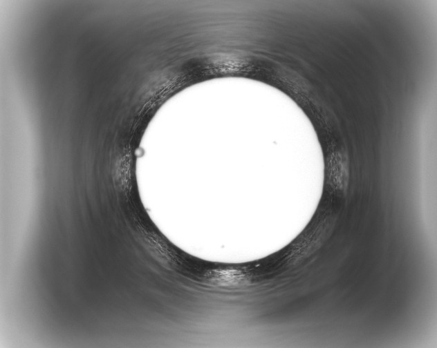 X0000103960509200810031207