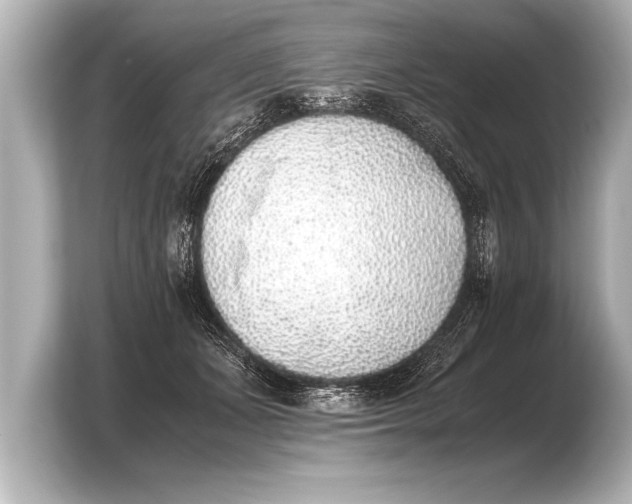 X0000103960511200810031207