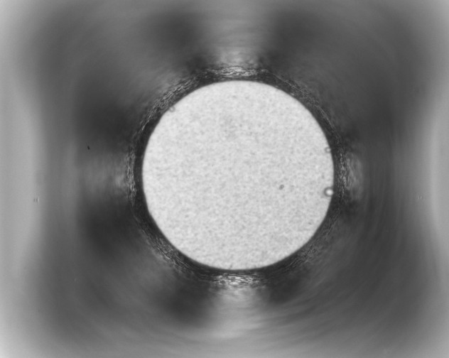 X0000103960512200810031207