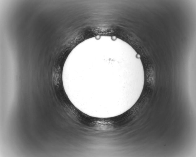 X0000103960515200810031207