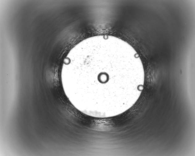 X0000103960516200810031207