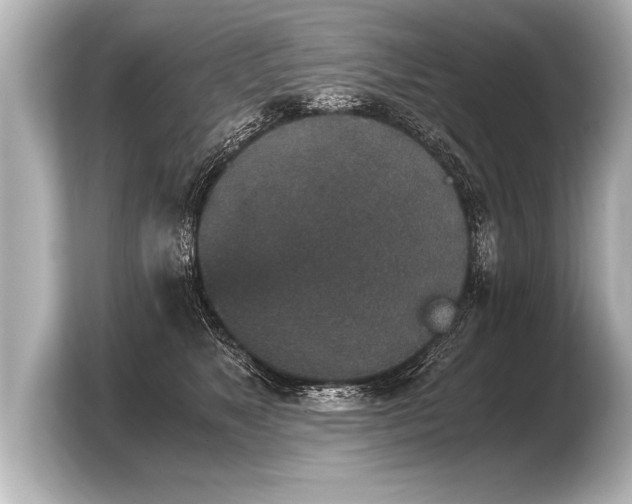 X0000103960517200810031207