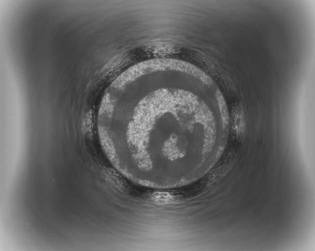 X0000103960519200810031207