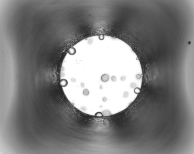 X0000103960520200810031207