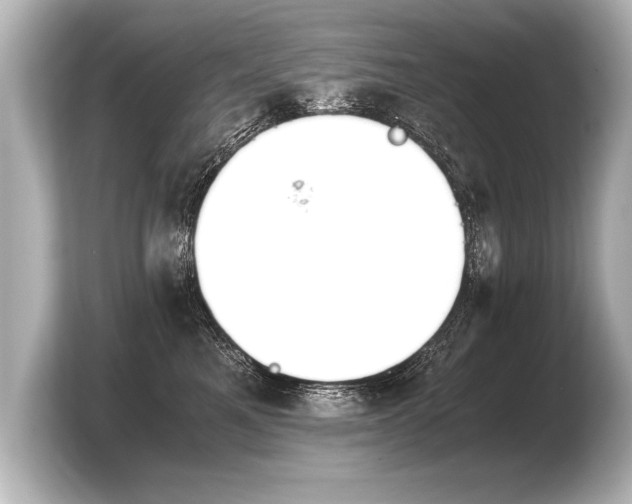 X0000103960521200810031207