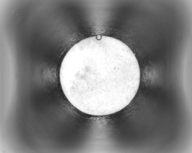X0000103960524200810031207