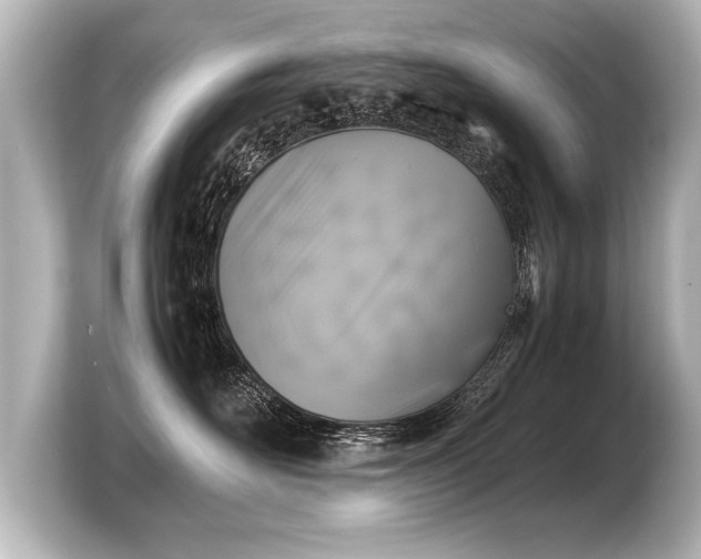 X0000103960526200810031207