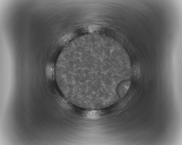 X0000103960527200810031206