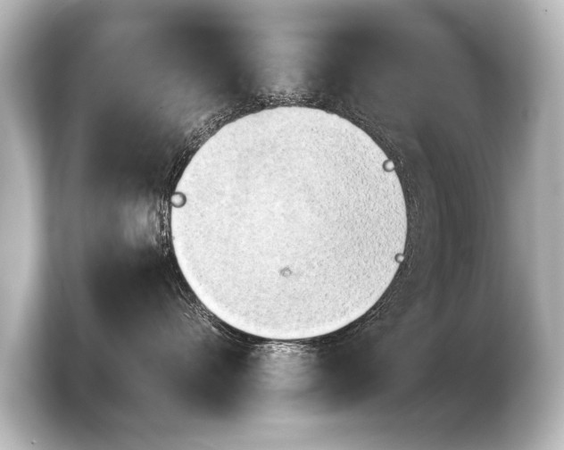 X0000103960528200810031206