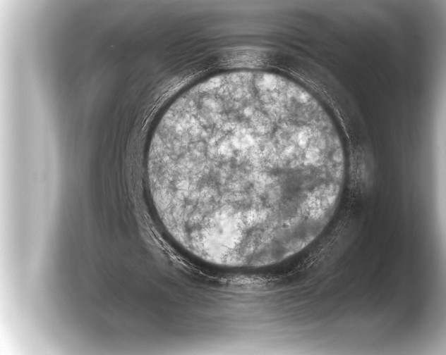 X0000103960529200810031206