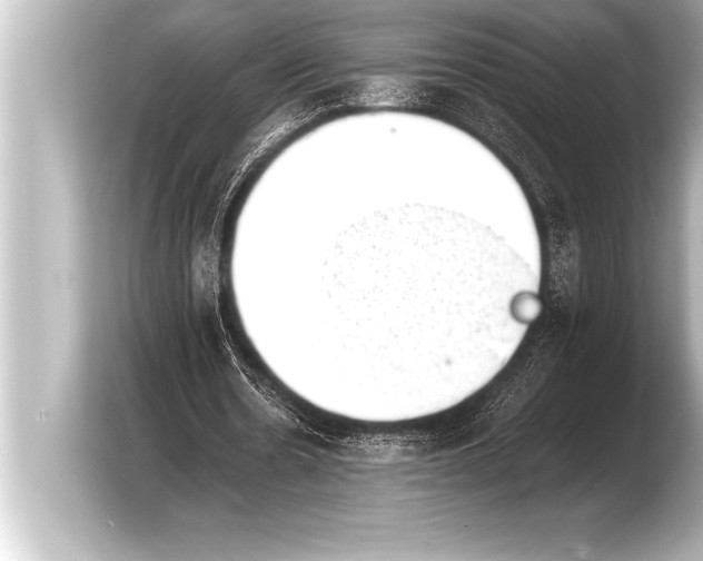 X0000103960530200810031206