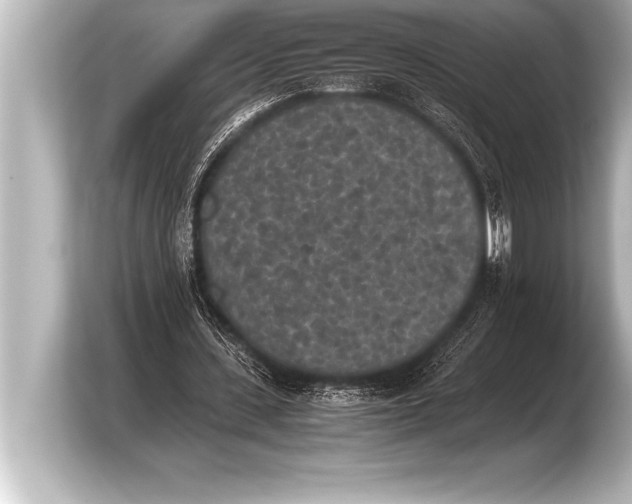 X0000103960531200810031206