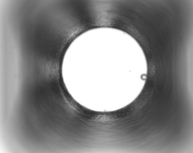 X0000103960538200810031206