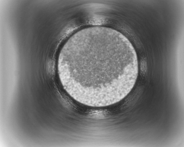 X0000103960540200810031206