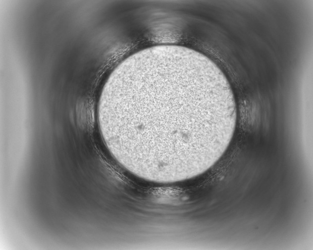 X0000103960541200810031206