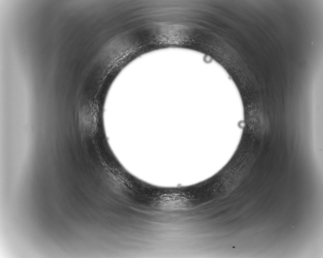 X0000103960544200810031206