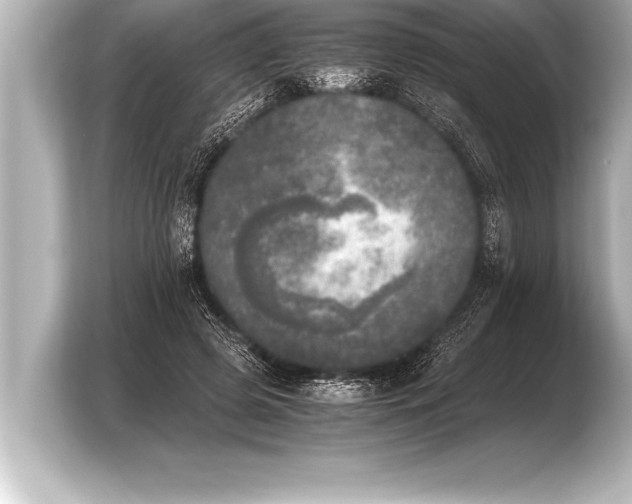 X0000103960545200810031206