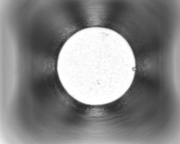 X0000103960546200810031206