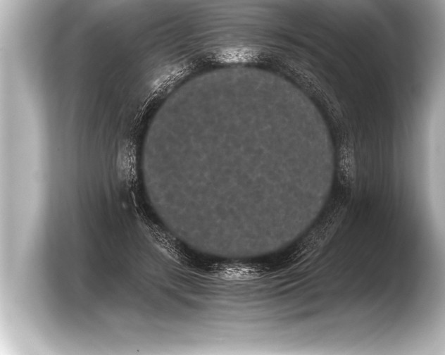 X0000103960547200810031206