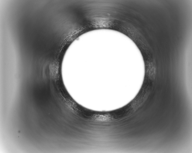 X0000103960548200810031206