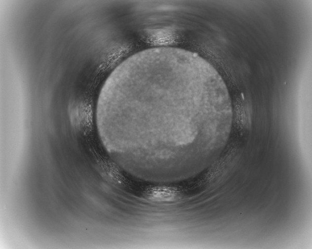 X0000103960549200810031206