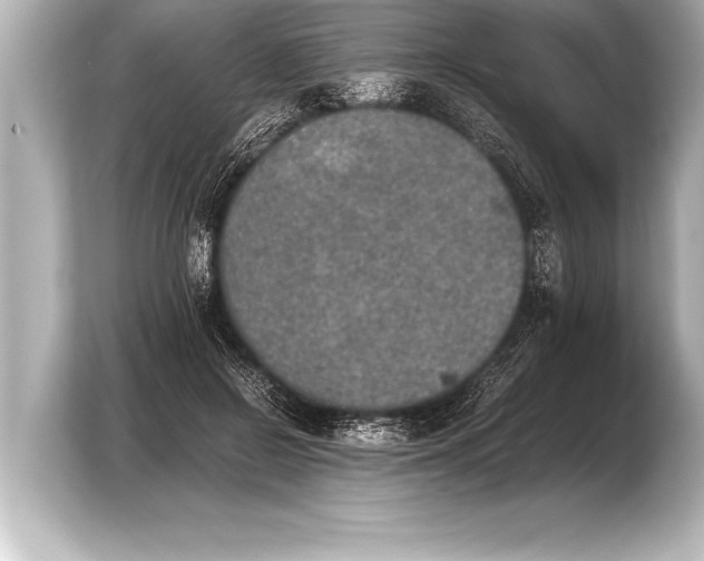X0000103960550200810031206