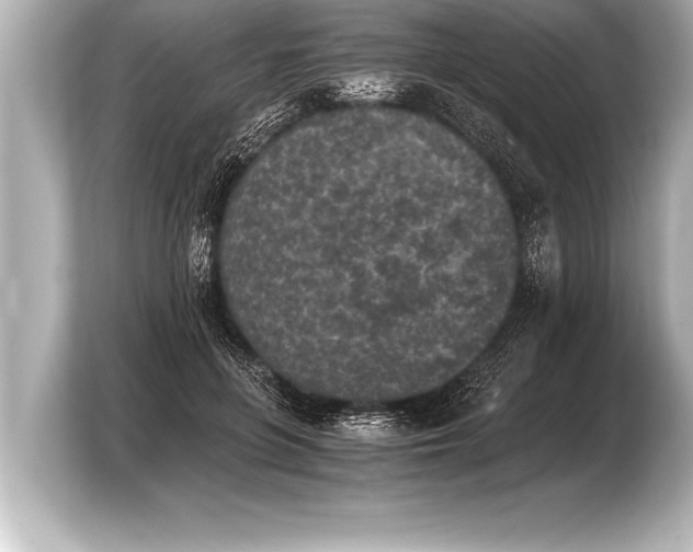 X0000103960551200810031206