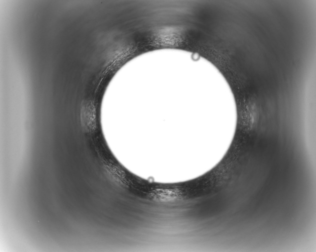 X0000103960552200810031206