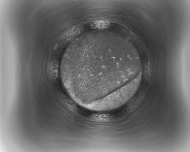 X0000103960553200810031206