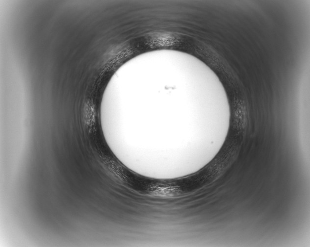 X0000103960555200810031206
