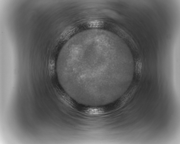 X0000103960557200810031206