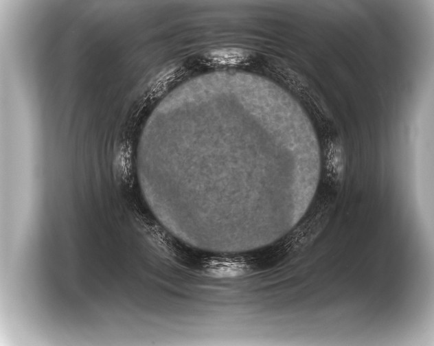 X0000103960559200810031206