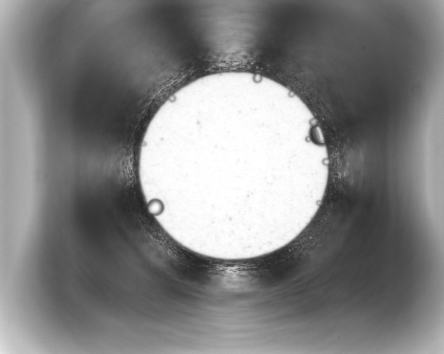 X0000103960564200810031206