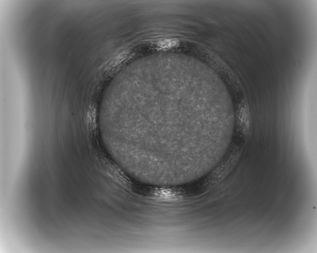 X0000103960565200810031206