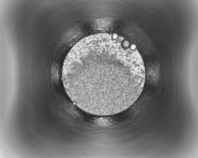 X0000103960566200810031206