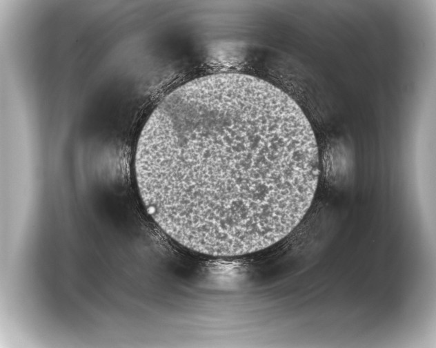 X0000103960570200810031206