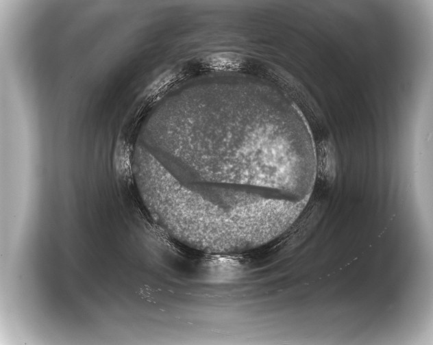 X0000103960573200810031206