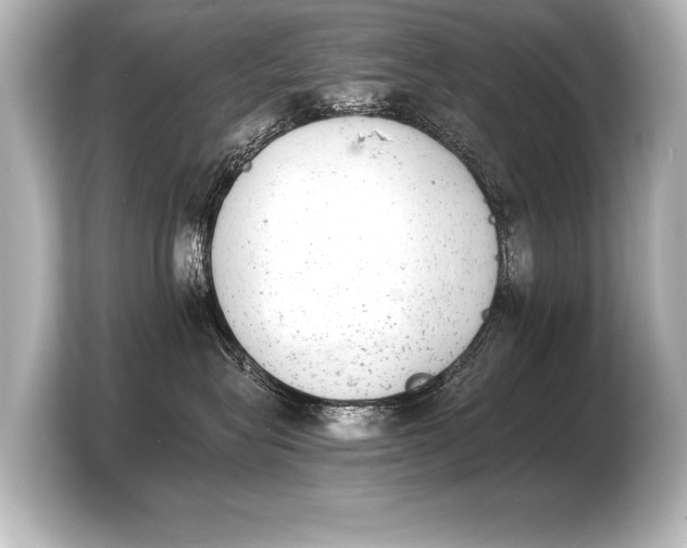 X0000103960575200810031206