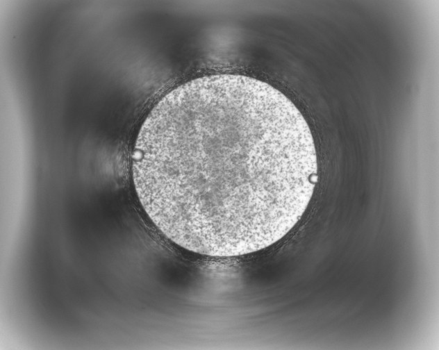 X0000103960576200810031206