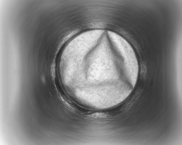 X0000103960578200810031206