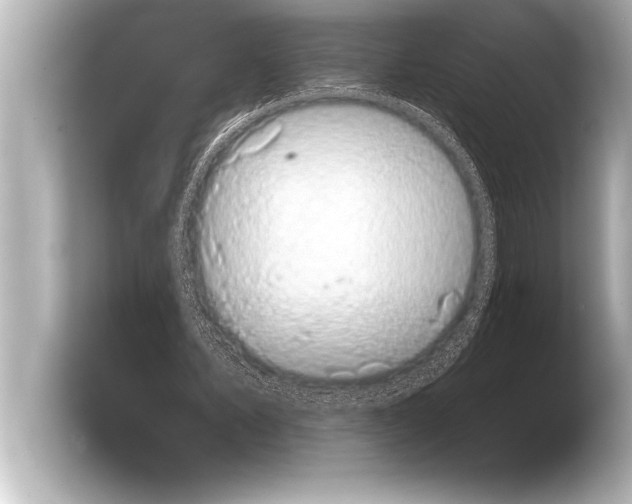 X0000103960579200810031206