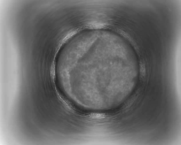 X0000103960582200810031206