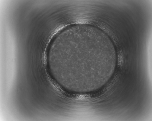 X0000103960584200810031206