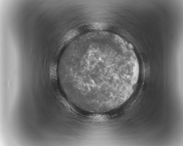 X0000103960585200810031206